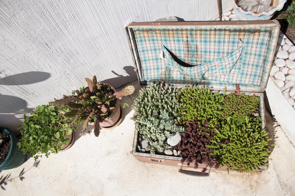 Terrace Garden Boutique Hotel 第比利斯 外观 照片